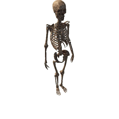 Full Skeleton Gib Version 1